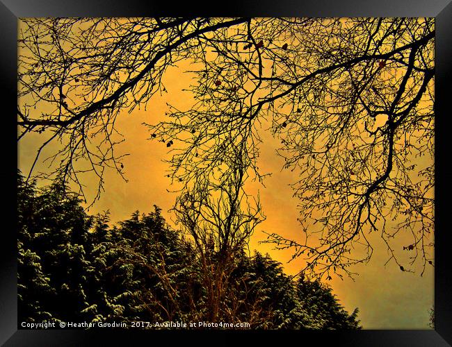 A Winter's Silhouette Framed Print by Heather Goodwin