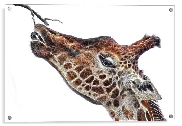 Fractal Giraffe Acrylic by John Edwards