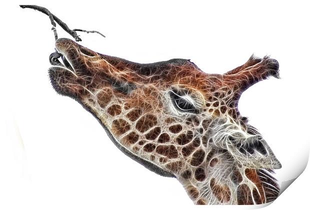 Fractal Giraffe Print by John Edwards