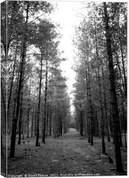 Looking for Aliens in Rendlesham Forest Canvas Print by Stuart Pearce