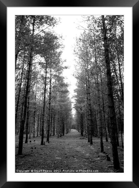Looking for Aliens in Rendlesham Forest Framed Mounted Print by Stuart Pearce