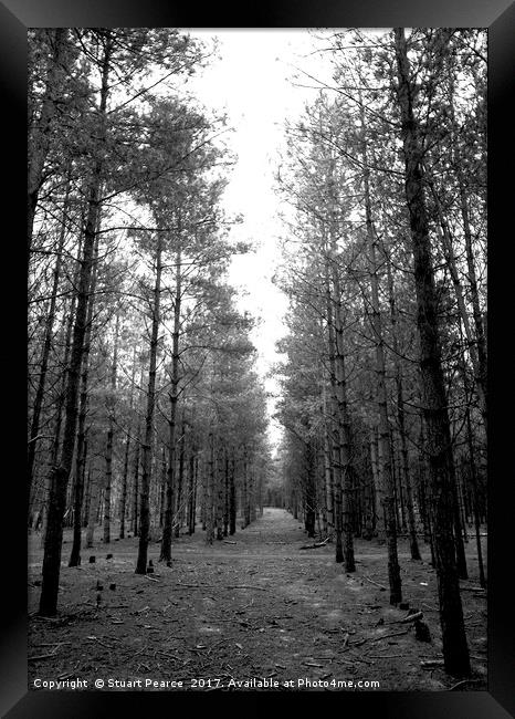 Looking for Aliens in Rendlesham Forest Framed Print by Stuart Pearce
