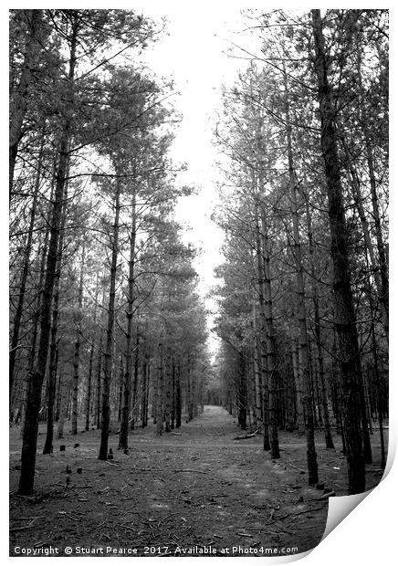 Looking for Aliens in Rendlesham Forest Print by Stuart Pearce