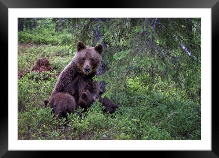 I Can See You! Framed Mounted Print by Janette Hill