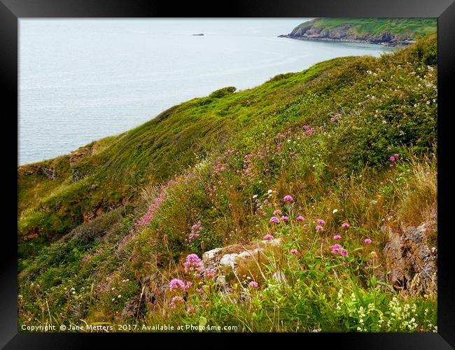    The Beauty of the Coast                         Framed Print by Jane Metters