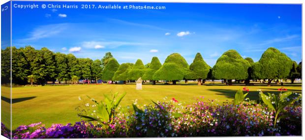 Hampton Court Palace Gardens Canvas Print by Chris Harris