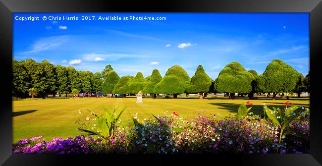 Hampton Court Palace Gardens Framed Print by Chris Harris
