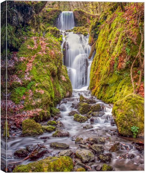 Clampitt Falls Canvas Print by Dave Rowlatt