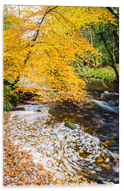 Autumn Glory Acrylic by Dave Rowlatt