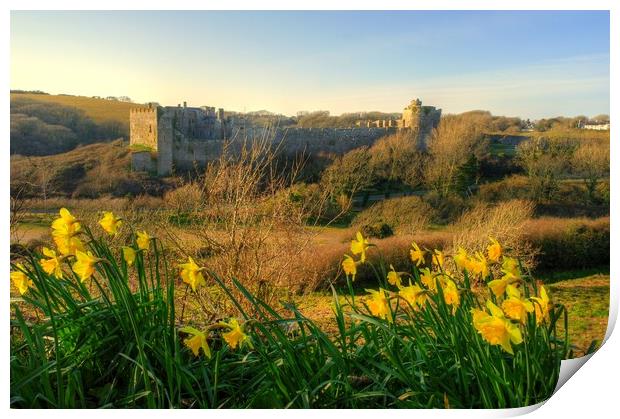 Manorbier Castle in Spring Print by Martin Chambers