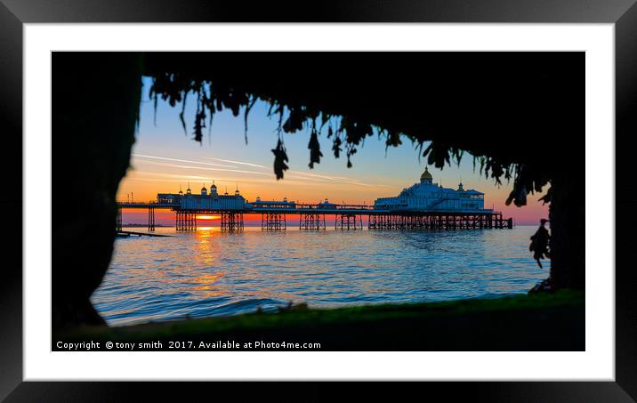Eastbourne Sunrise Framed Mounted Print by tony smith