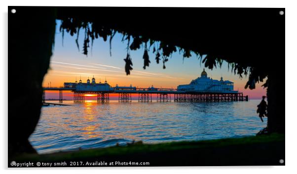 Eastbourne Sunrise Acrylic by tony smith