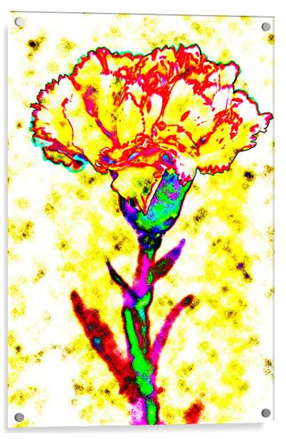 Carnation Art Acrylic by Ian Jeffrey