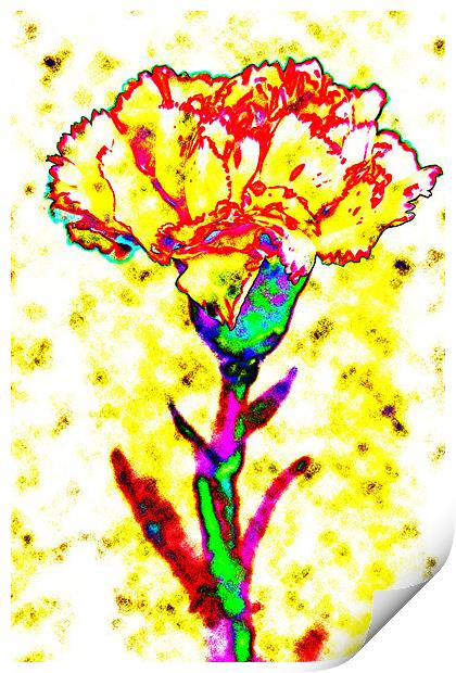 Carnation Art Print by Ian Jeffrey