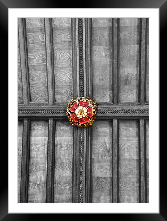 Tudor Rose Framed Mounted Print by Mike Gorton