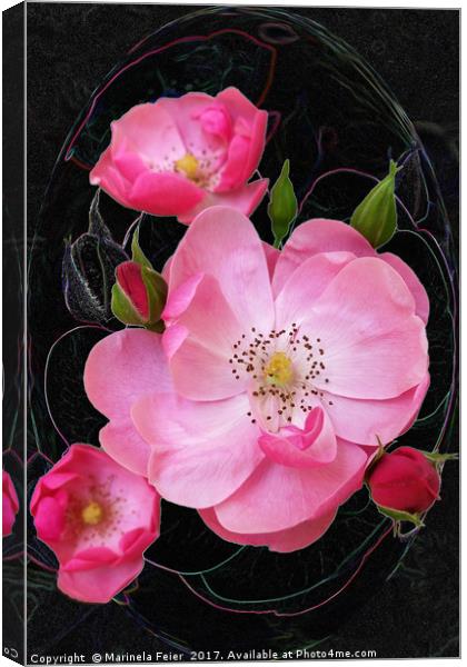 tiny rosebud opens Canvas Print by Marinela Feier
