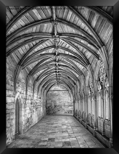 Lincoln Cathedral Cloisters Framed Print by Linsey Williams