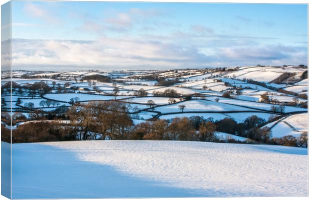 Devon's Snowy Patchwork Canvas Print by Dave Rowlatt