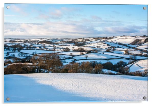 Devon's Snowy Patchwork Acrylic by Dave Rowlatt