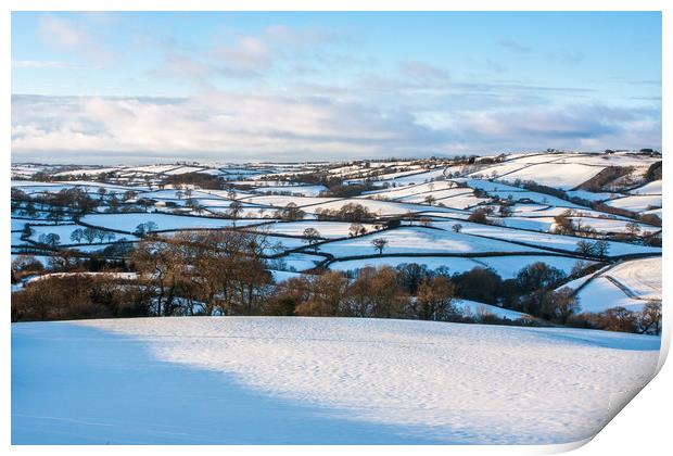 Devon's Snowy Patchwork Print by Dave Rowlatt