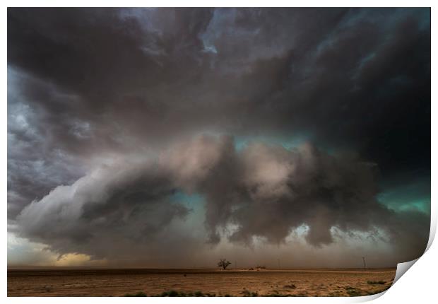 Texas Tornado Tree  Print by John Finney