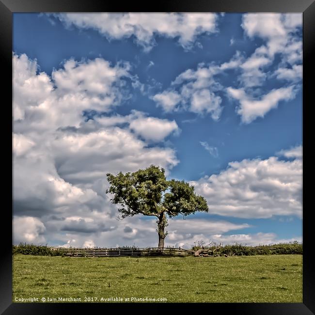 Guardian of the Clouds Framed Print by Iain Merchant