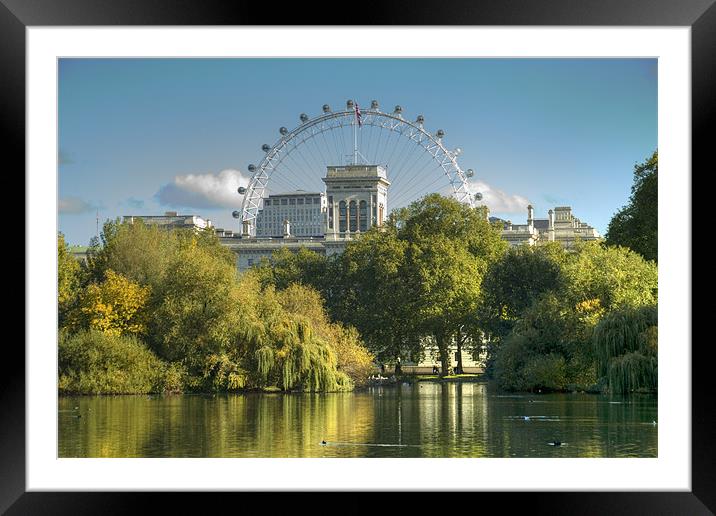 London Eye from St James Park Framed Mounted Print by David French