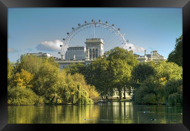 London Eye from St James Park Framed Print by David French