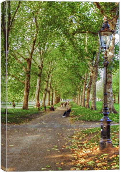Green Park HDR and Fractilius version Canvas Print by David French