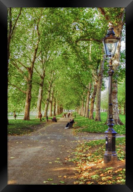 Green Park HDR and Fractilius version Framed Print by David French