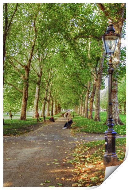 Green Park HDR and Fractilius version Print by David French