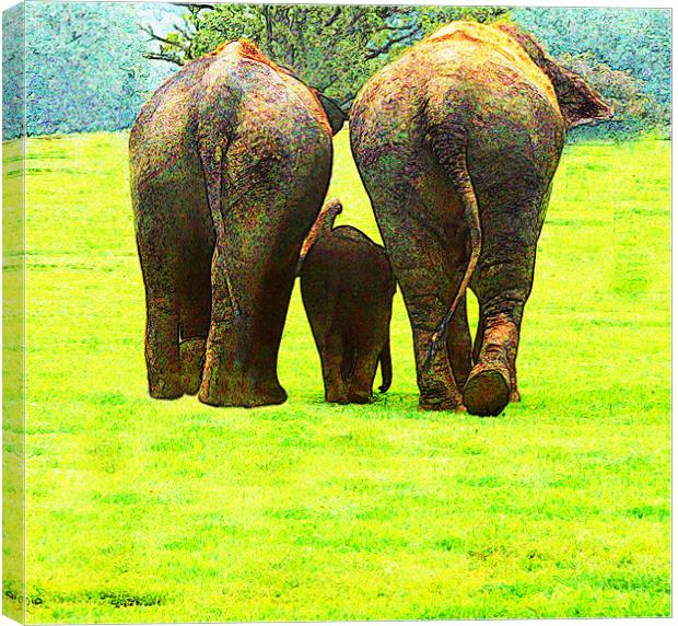 Elephants Canvas Print by Ian Jeffrey