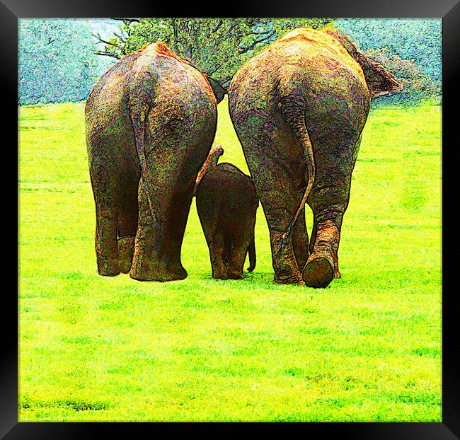 Elephants Framed Print by Ian Jeffrey