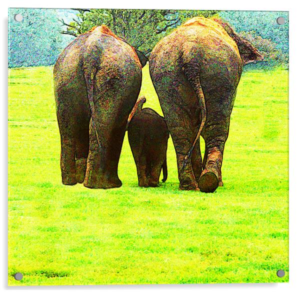 Elephants Acrylic by Ian Jeffrey