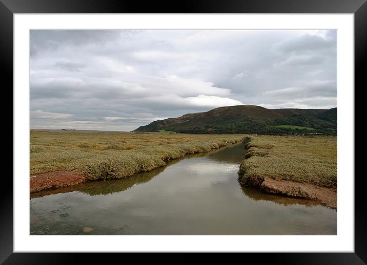 Sparkhayes Marsh Framed Mounted Print by graham young