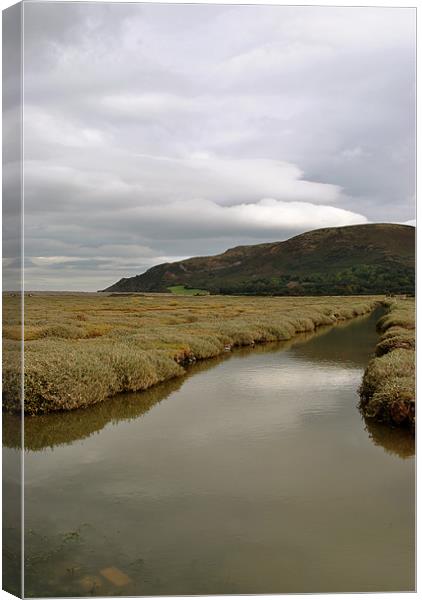 Sparkhayes Marsh Canvas Print by graham young