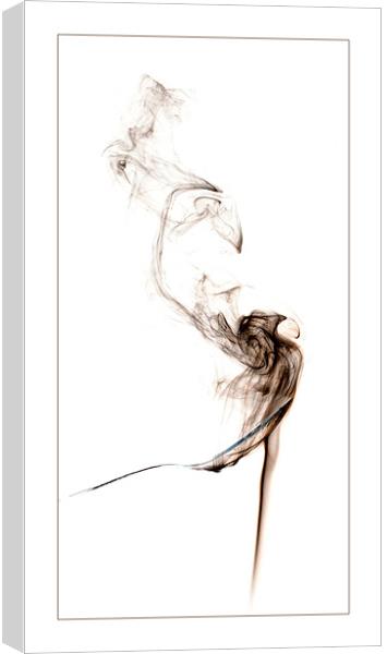 The Smoking Spoon Canvas Print by Jeni Harney