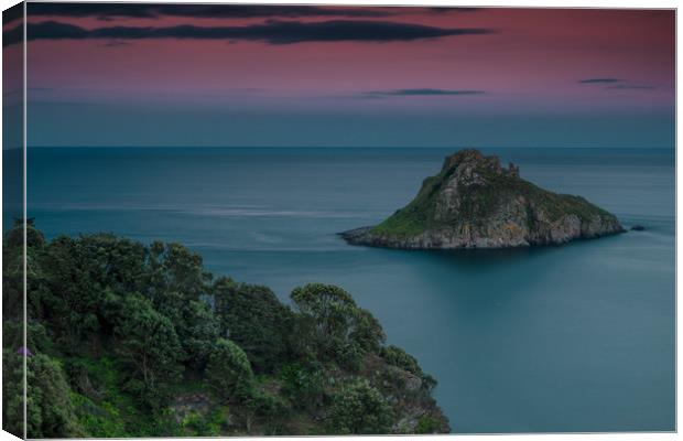 Thatcher Rock Torquay at Sunset  Canvas Print by Tracey Yeo