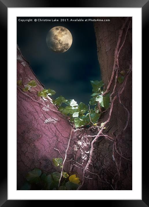 Gently Through The Night Framed Mounted Print by Christine Lake