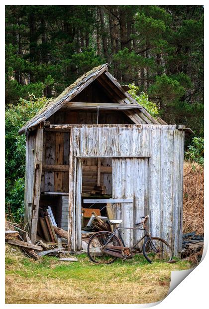 Old Shed  Print by chris smith