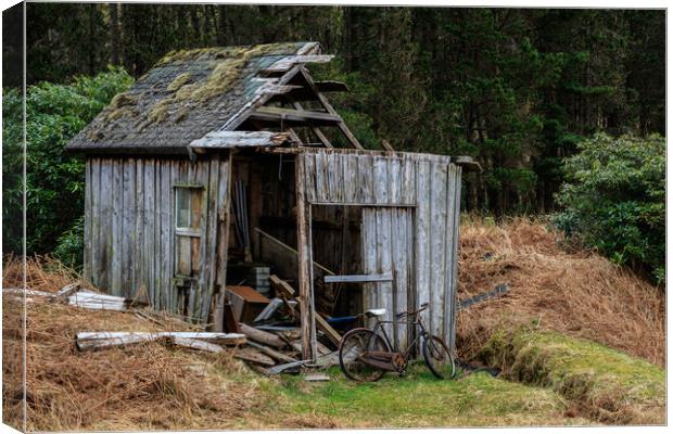 Abandoned shed  Canvas Print by chris smith