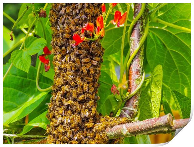 Bee Swarm Print by Victor Burnside