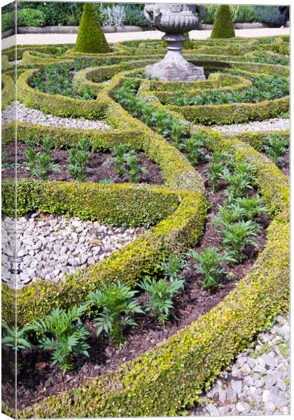 Formal gardens  Canvas Print by chris smith