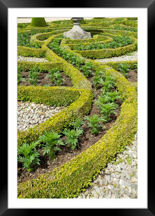 Formal gardens     Framed Mounted Print by chris smith