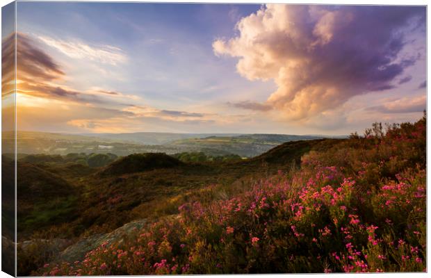 Norland moor sunset  Canvas Print by chris smith