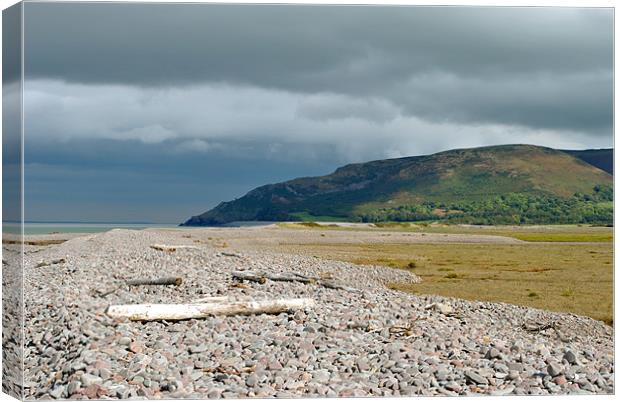 Hurlestone Point and Sparkhayes Marsh, Somerset Canvas Print by graham young