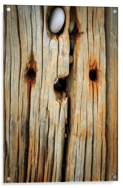 Wooden groynes  Acrylic by chris smith