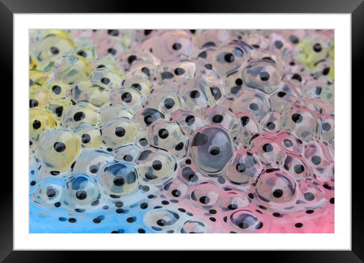 frogspawn  Framed Mounted Print by chris smith