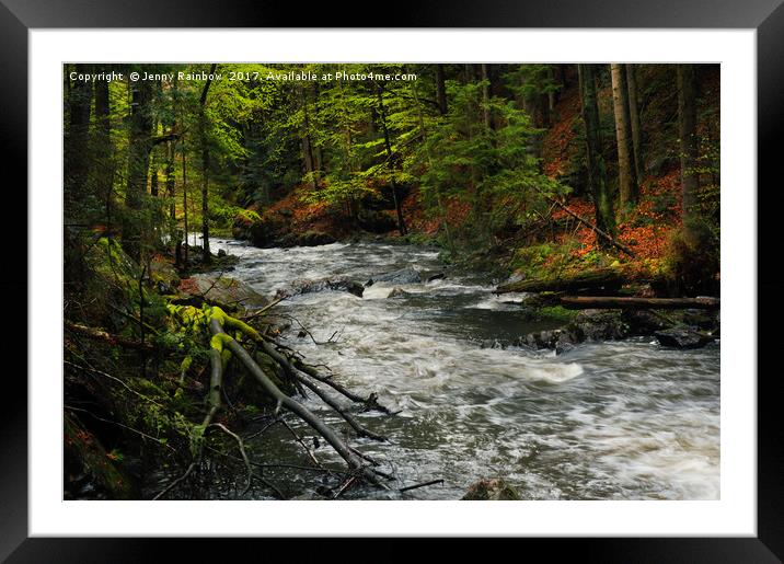Spring Stream in Woods                             Framed Mounted Print by Jenny Rainbow