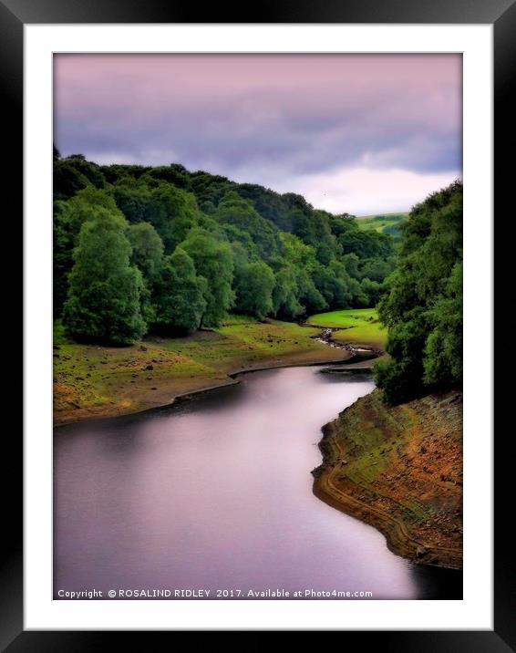 "Evening Light at Leighton Reservoir" Framed Mounted Print by ROS RIDLEY